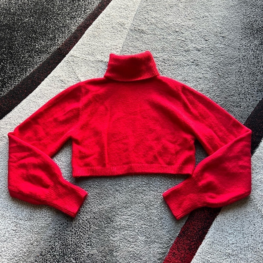 Princess Polly Red Turtleneck Cropped Sweater